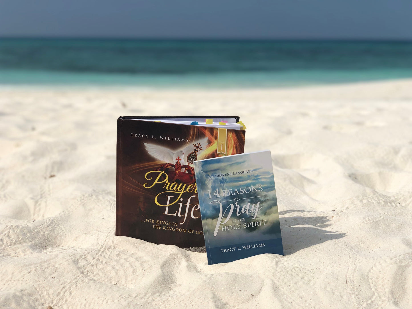 PPP - Both Books (Soft Covers)
